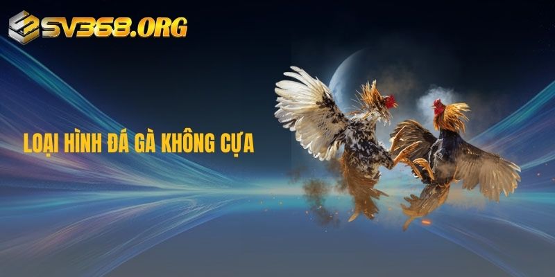 Loại hình đá gà không cựa