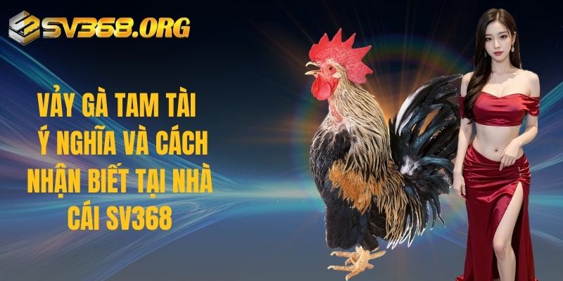 Vảy Gà Tam Tài - Ý Nghĩa Và Cách Nhận Biết Tại Nhà Cái SV368