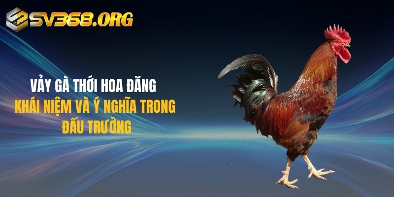 Vảy Gà Thới Hoa Đăng | Khái Niệm Và Ý Nghĩa Trong Đấu Trường